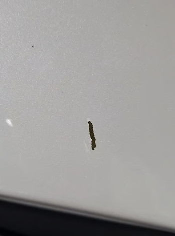 차주에 따르면 당시 노인은 당황한 채 거듭 사과하며 변상하겠다는 뜻을 밝혔다. 그러나 차주는 수리비를 청구하지 않고 돌려보냈다. 차주는 이후 해당 노인이 아기 옷 한 벌을 사서 가져왔다고 전해 훈훈함을 안겼다. / 스레드 갈무리