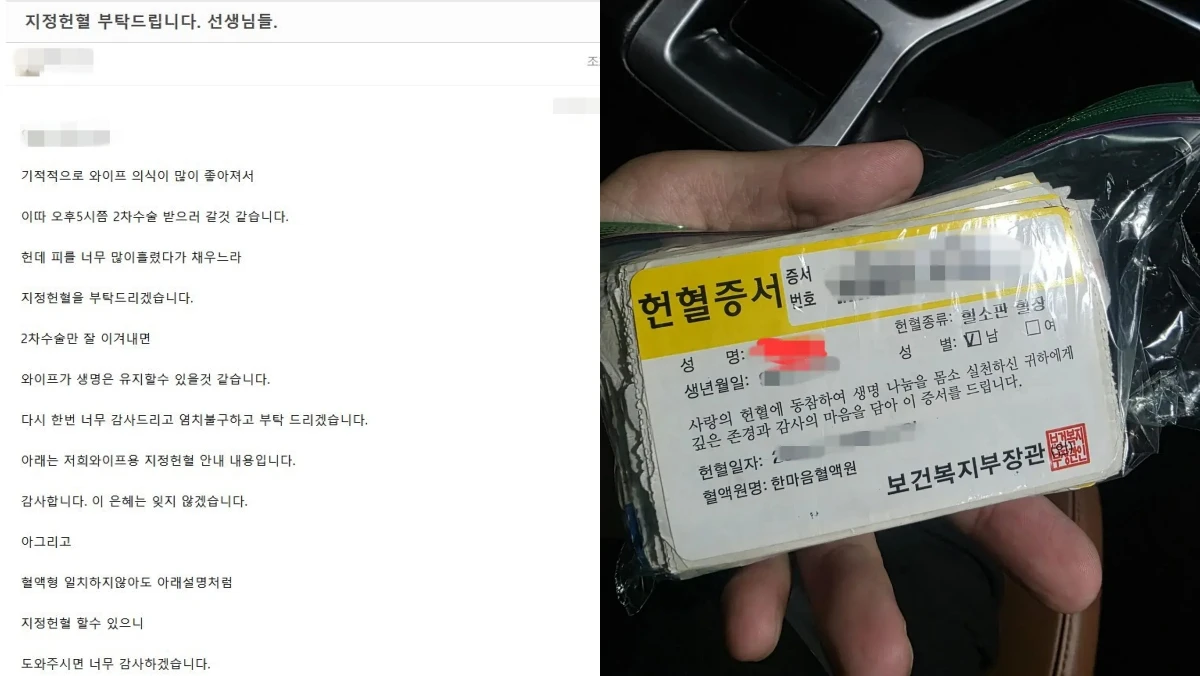 원당역 흉기 피습 사건 피해 역무원의 남편이 올린 지정헌혈 요청 글(왼쪽)과 한 누리꾼이 수년간 모은 헌혈증 150여 장을 병원에 기부한 뒤 공개한 인증 사진. / 에펨코리아 캡처
