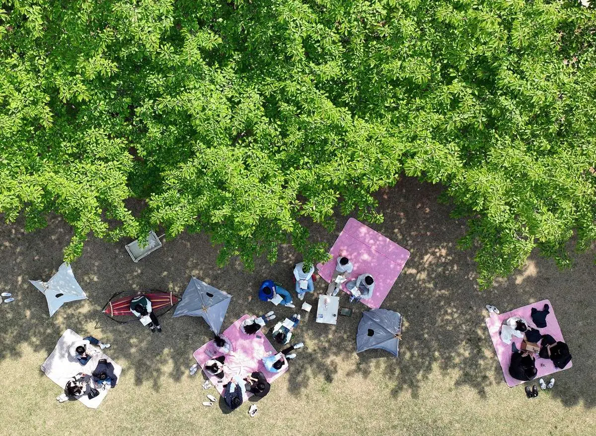 대학 캠퍼스 모습. 기사 이해를 돕기 위한 자료 사진. 지난 16일에는 한국갤럽의 주요 정치인 호감도 조사 결과도 나왔다. 한국갤럽이 지난 13~15일 전국 만 18세 이상 유권자 1003명을 대상으로 주요 정치인 7명에 대한 호감도를 조사한 결과 오 시장에게 '호감이 간다'라고 응답한 비율은 30%로 집계됐다. 한 의원은 23%, 김 대표는 21%, 조 원장은 20%, 정 의원은 19%, 장 대표와 이 의원은 각각 14%로 조사됐다. / 연합뉴스